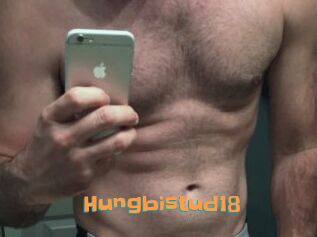 Hungbistud18