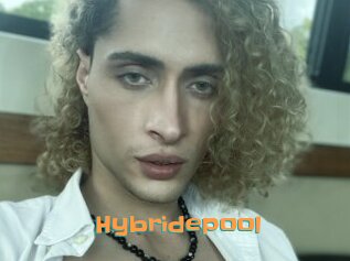 Hybridepool
