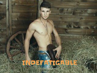INDEFATIGABLE