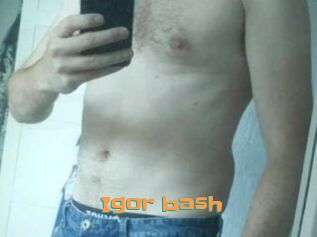 Igor_bash