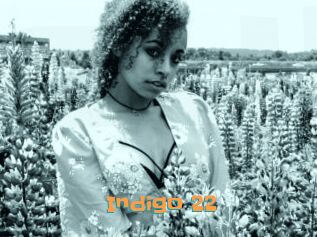 Indigo_22