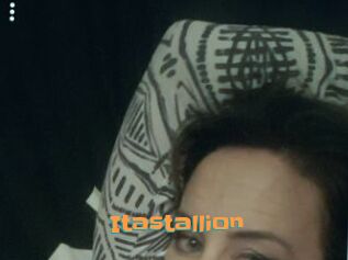 Itastallion