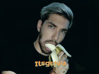 Itsgelviz
