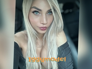 Iggymodel