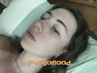 Indigoflood