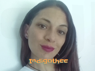 Indigothcc