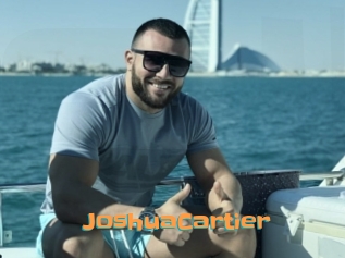JoshuaCartier Cyberhuren