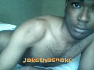 Jake_tha_snake