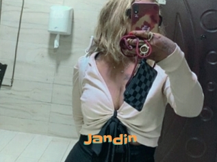 Jandin