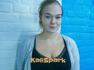 KaliSpark
