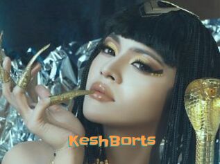 KeshBorts Cyberhuren