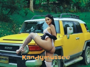 Kandymussee