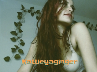 Kattleyaginger
