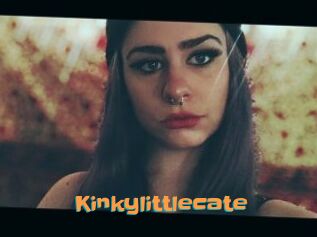 Kinkylittlecate