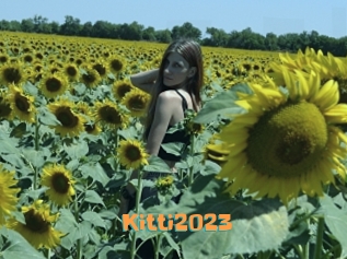 Kitti2023