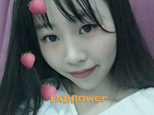 LAIlflower