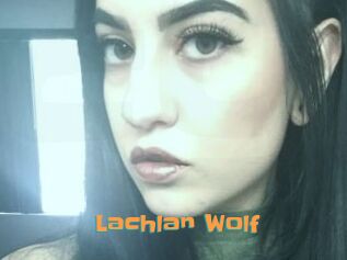 Lachlan_Wolf