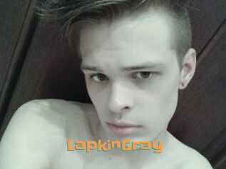 LapkinGray