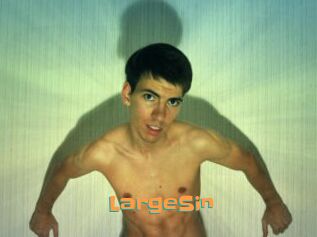 LargeSin