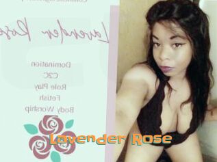 Lavender_Rose