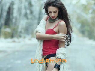 LediAmina
