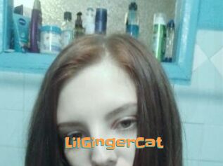 LilGingerCat