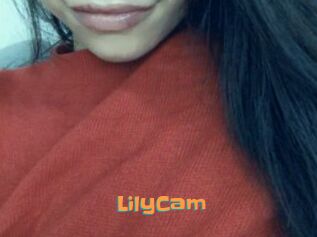 LilyCam
