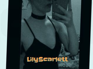 Lily_Scarlett