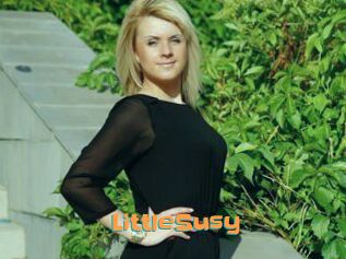 LittleSusy