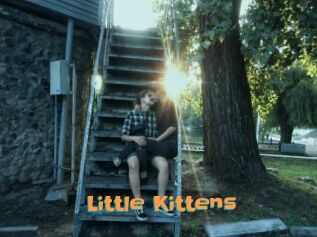 Little_Kittens