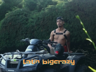 Latin_bigcrazy