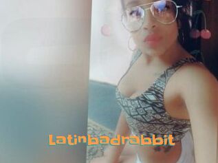 Latinbadrabbit