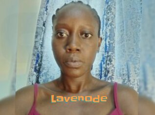 Lavenode
