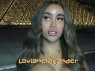 Lavianelavander