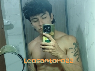 Leosantoro22