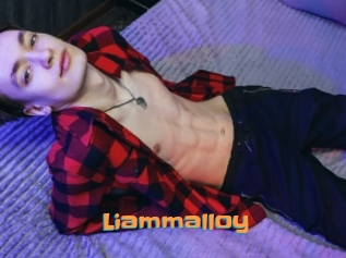 liammalloy Cyberhuren