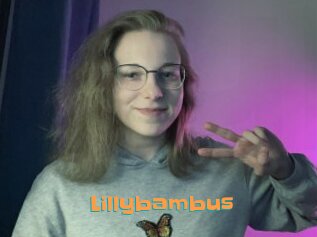 Lillybambus