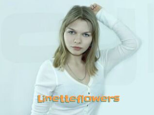Linetteflowers