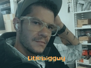 Litlebigguy