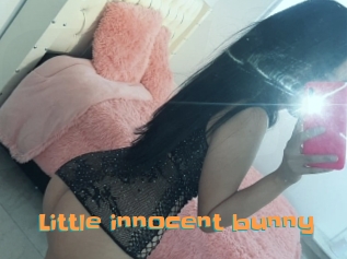 Little_innocent_bunny