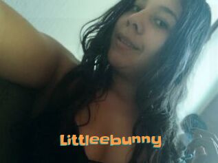 Littleebunny
