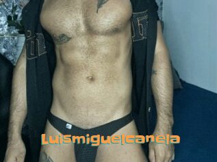Luismiguelcanela