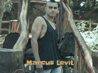Marcus_Levit