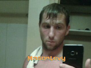 Mason_Levy