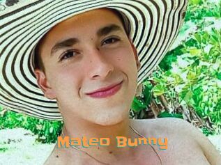 Mateo_Bunny