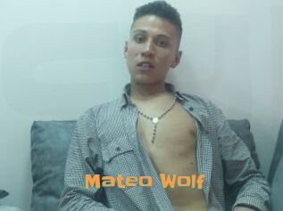 Mateo_Wolf