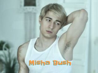 Misha_Bush