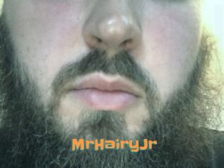 MrHairyJr