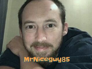 MrNiceguy85