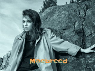 Maebreed